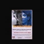 Expo "Passagers"  avec Juliet C (2011)